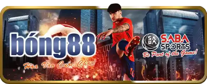Chương trình VIP VN88